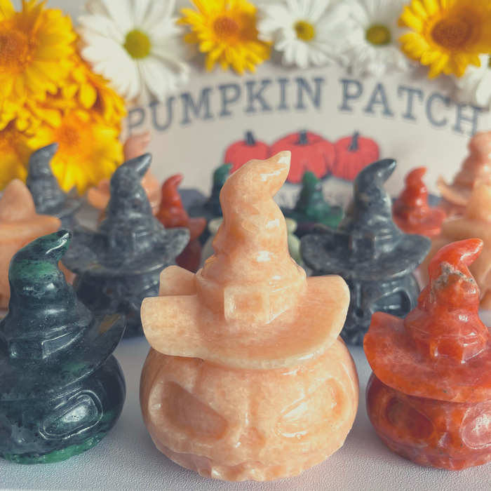 PUMPKIN PATCH