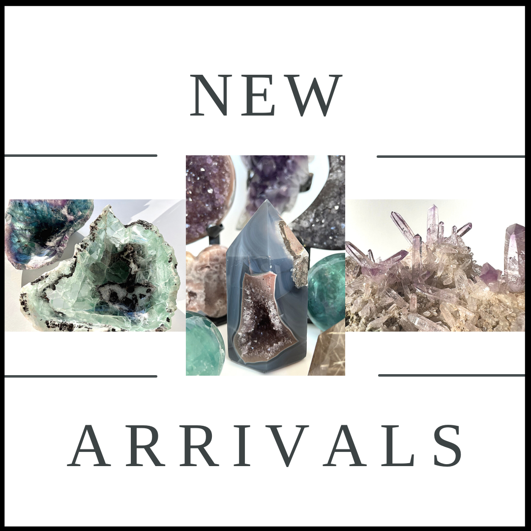 EXCITING NEW ARRIVALS!