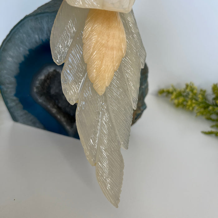 COCKATOO + AGATE GEODE