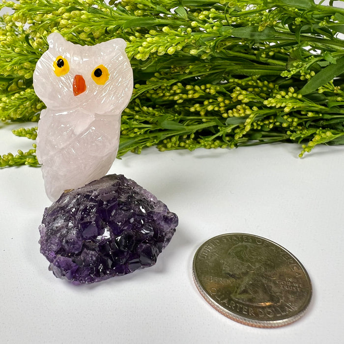 OWL + MINI