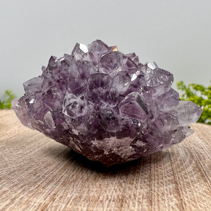 AMETHYST ROSETTE #2