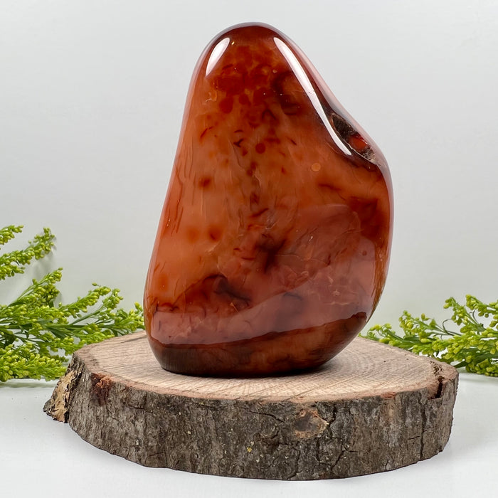 CARNELIAN + FREE FORM #1