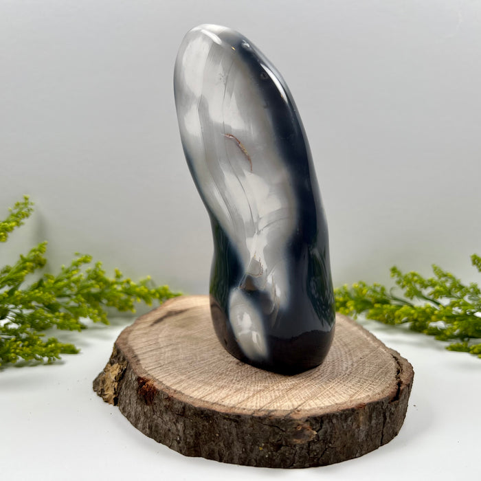 ORCA AGATE + FREE FORM