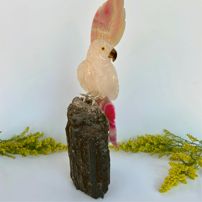 COCKATOO + BLACK TOURMALINE LOG