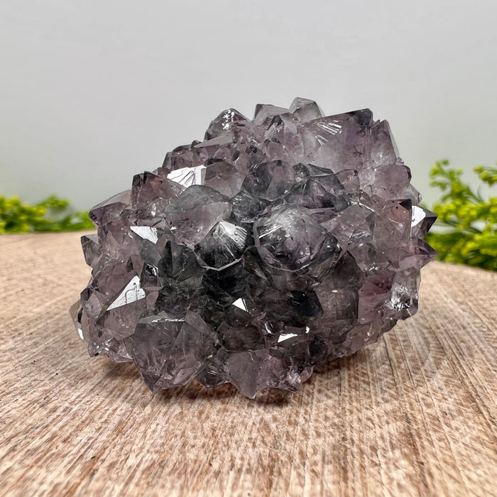 AMETHYST ROSETTE #4