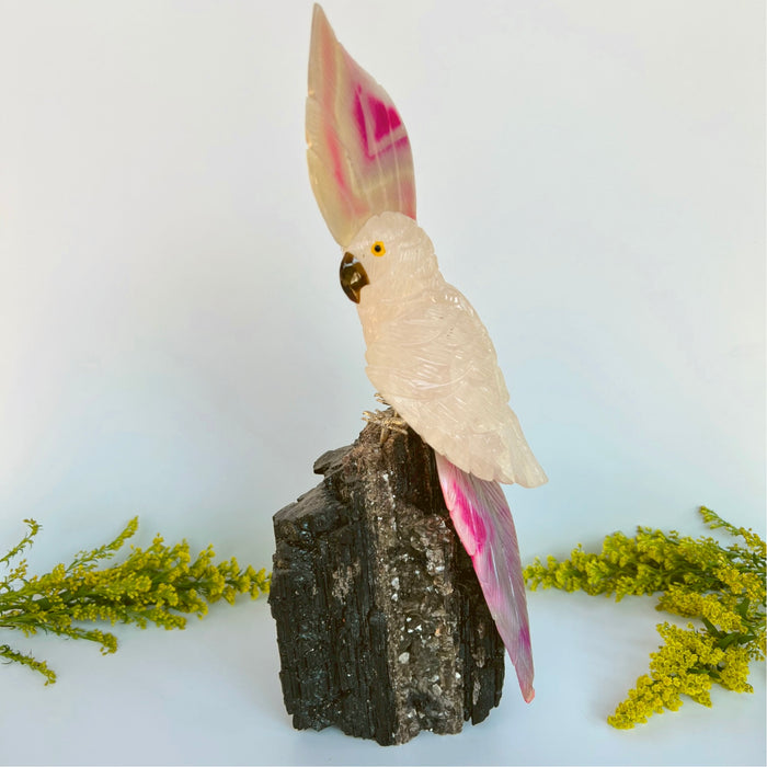 COCKATOO + BLACK TOURMALINE LOG