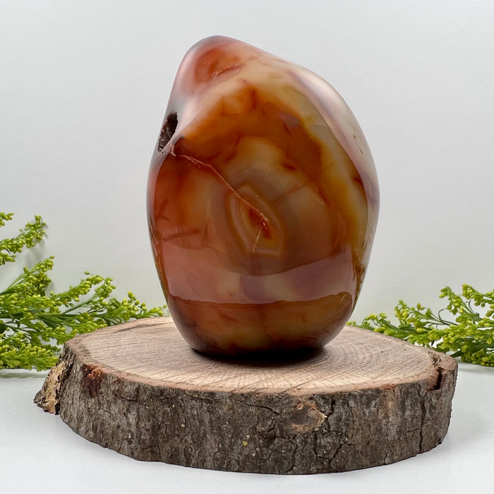 CARNELIAN + FREE FORM #1