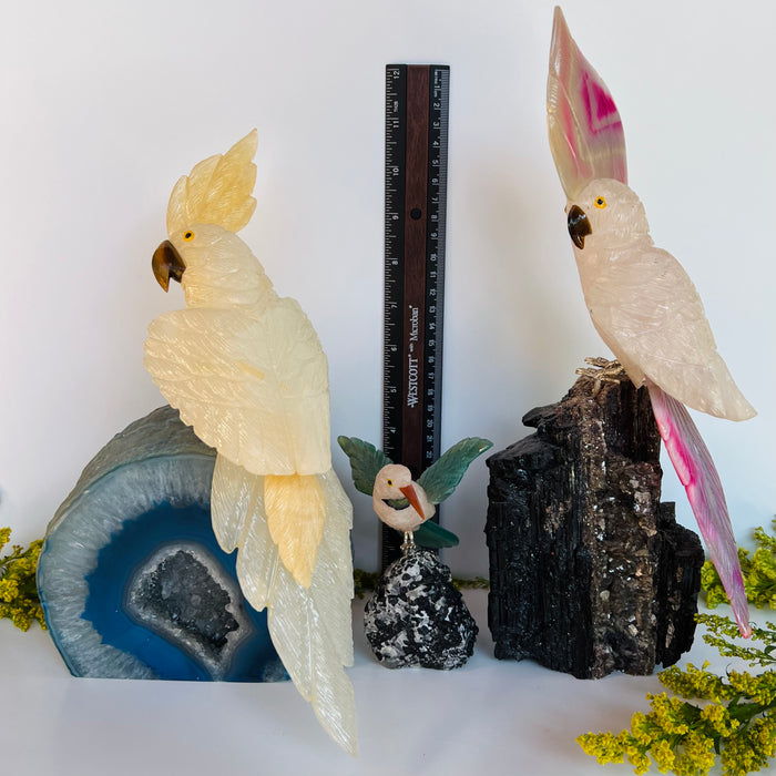 COCKATOO + BLACK TOURMALINE LOG