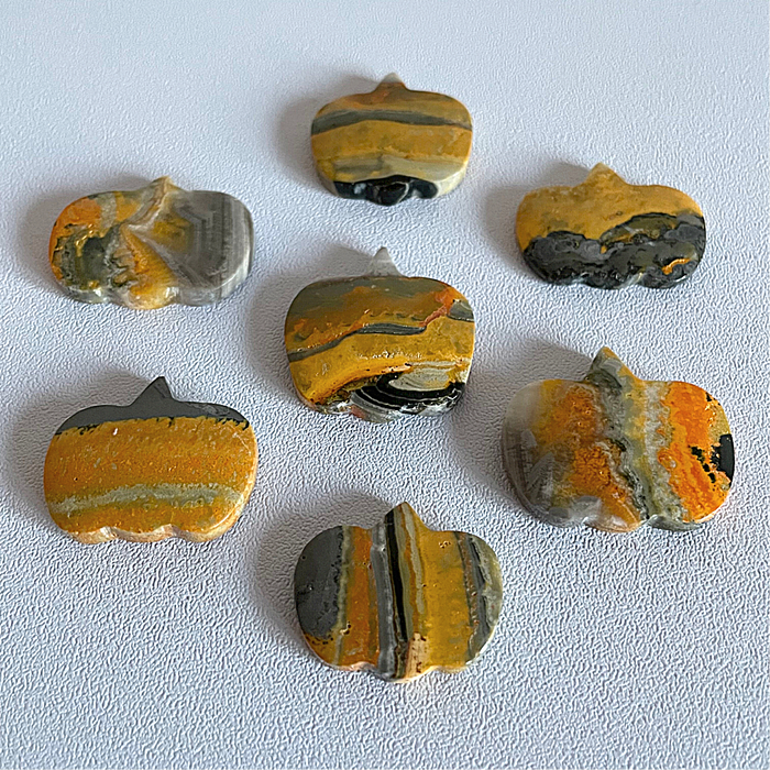 BUMBLEBEE JASPER + MINI PUMPKIN