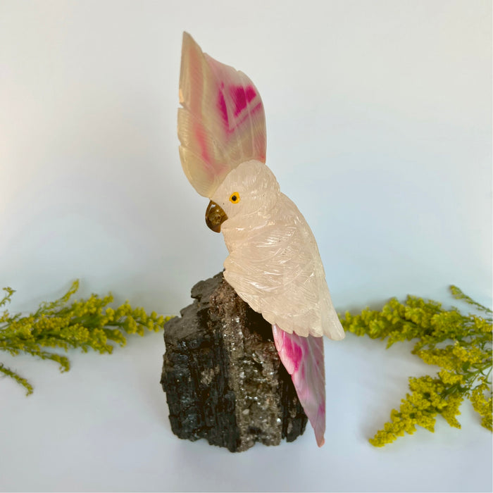 COCKATOO + BLACK TOURMALINE LOG