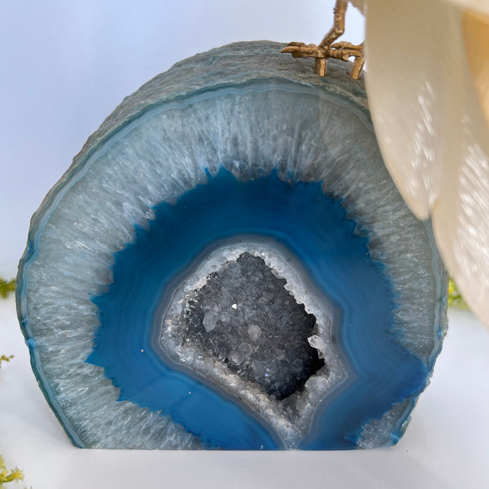 COCKATOO + AGATE GEODE