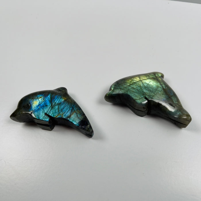 LABRADORITE + DOLPHIN