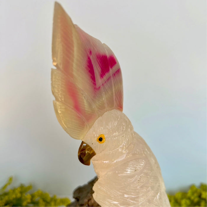 COCKATOO + BLACK TOURMALINE LOG