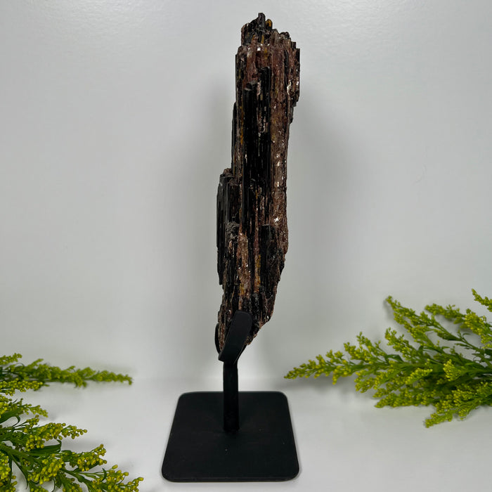 BLACK TOURMALINE + METAL STAND #2