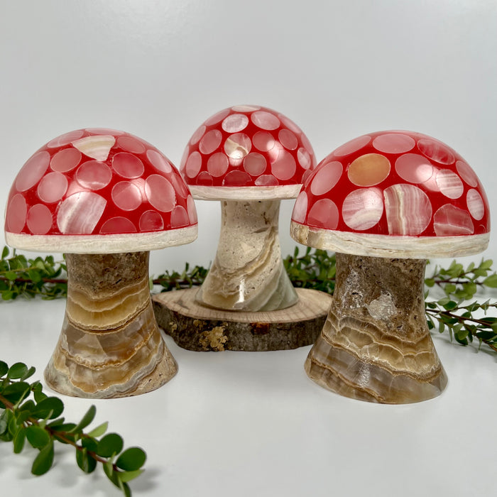 MUSHROOM LAMP