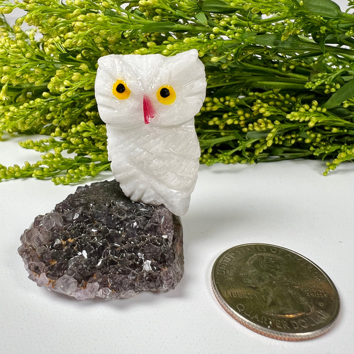 OWL + MINI