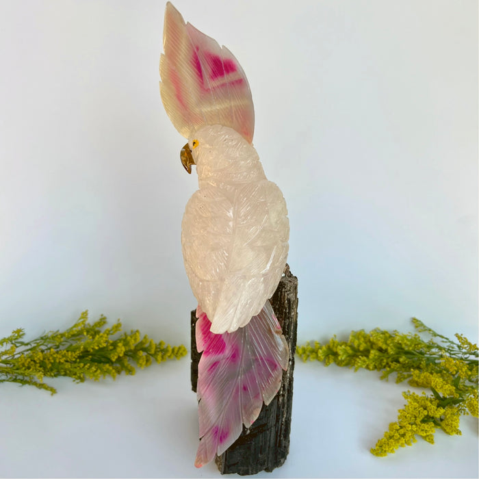 COCKATOO + BLACK TOURMALINE LOG