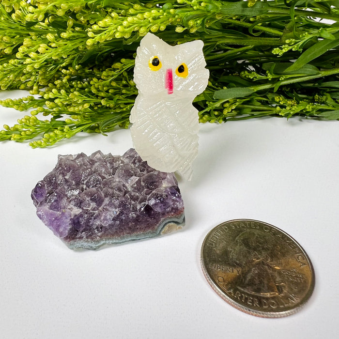 OWL + MINI