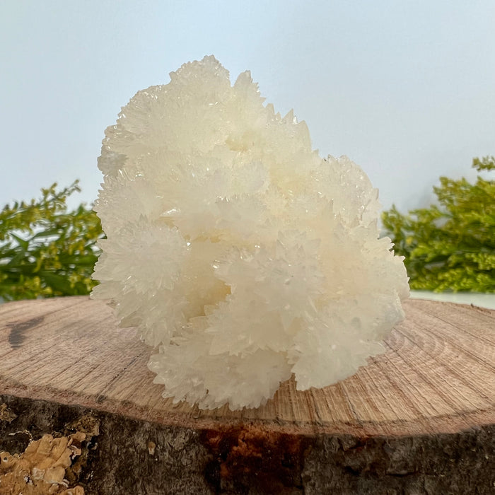 CAVE CALCITE #4