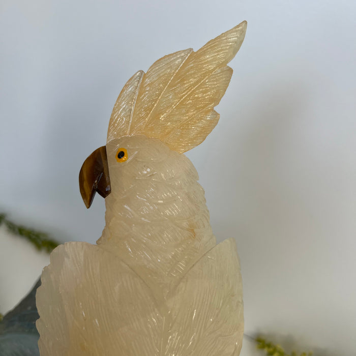 COCKATOO + AGATE GEODE