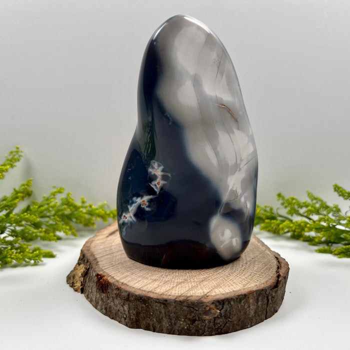 ORCA AGATE + FREE FORM