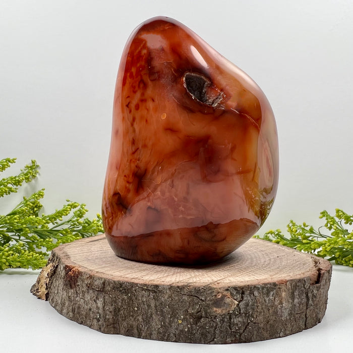 CARNELIAN + FREE FORM #1