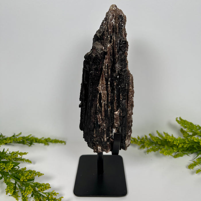 BLACK TOURMALINE + METAL STAND #1