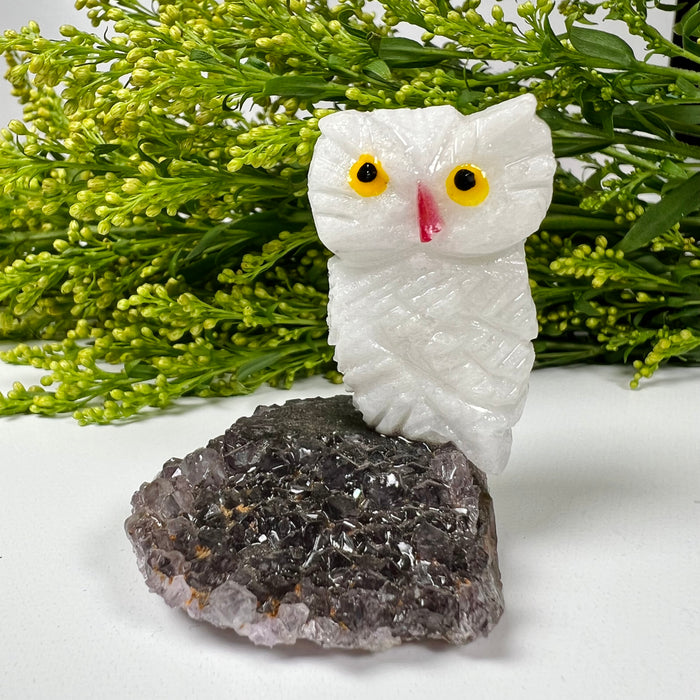 OWL + MINI