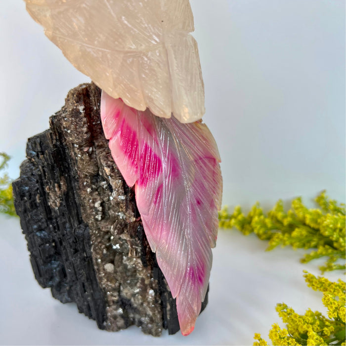 COCKATOO + BLACK TOURMALINE LOG