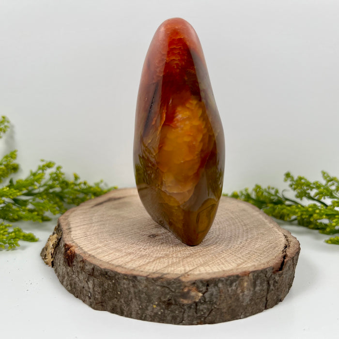 CARNELIAN + FREE FORM #2