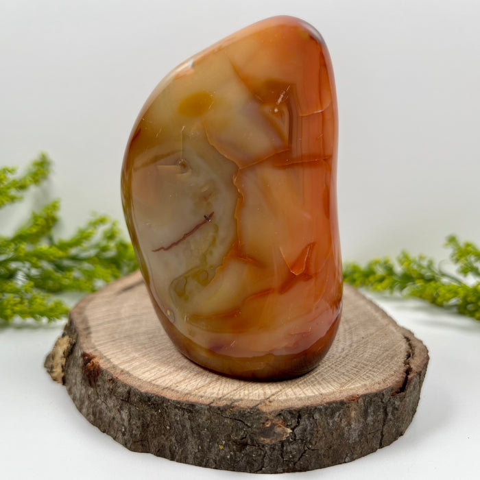 CARNELIAN + FREE FORM #1